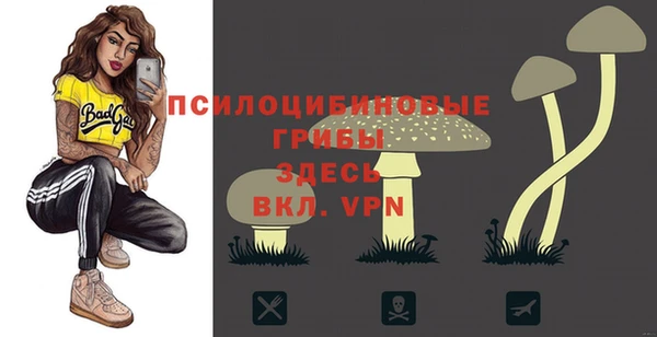 МДПВ Елабуга