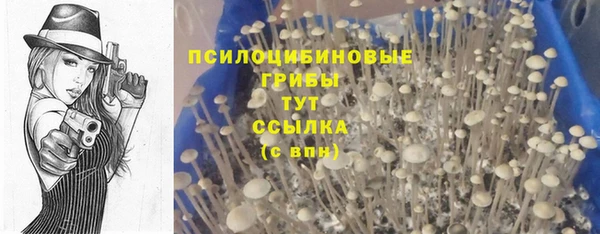 каннабис Елизово