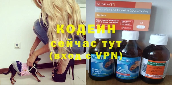 МДПВ Елабуга