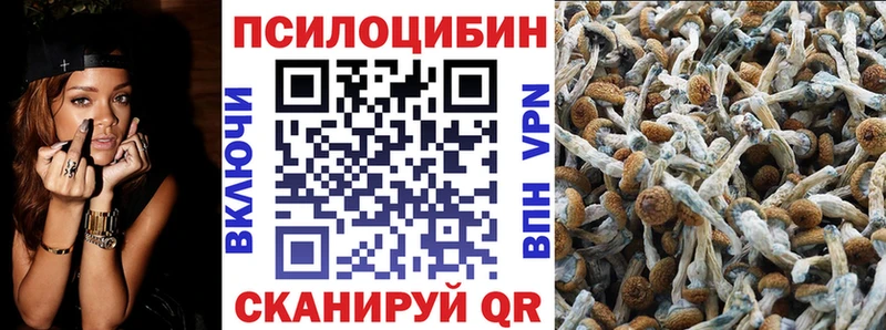 Купить где  Ахтырский  Галлюциногенные грибы мицелий 